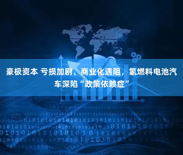 豪极资本 亏损加剧、商业化遇阻，氢燃料电池汽车深陷“政策依赖症”